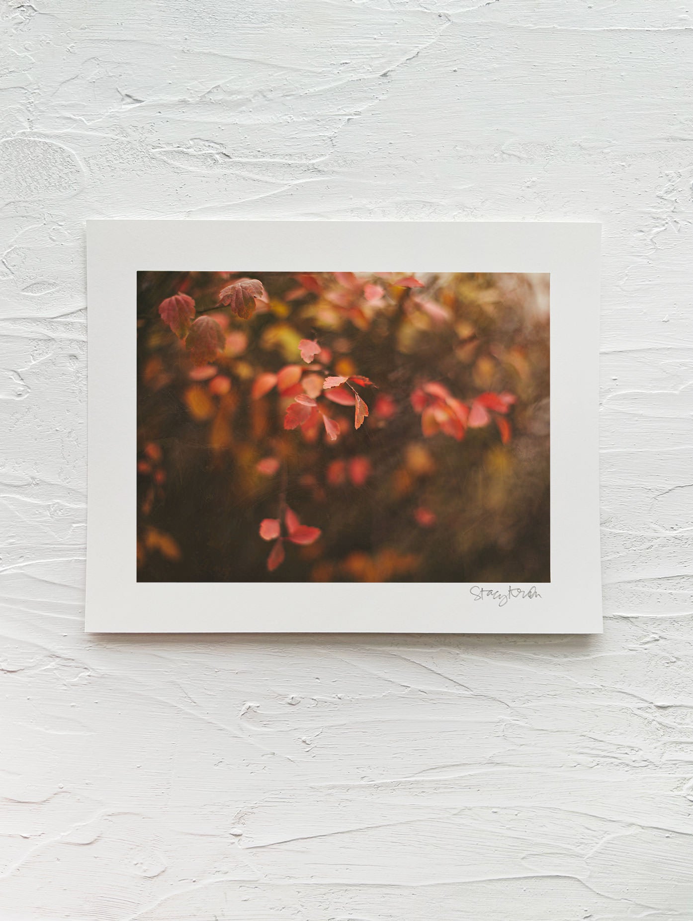 "Delancy" • 8x10" print